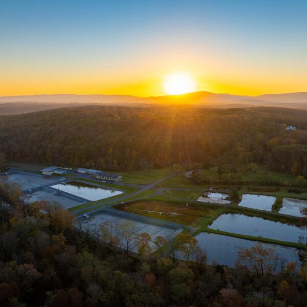 منظر جوي للمفرخ الملكي الأمامي