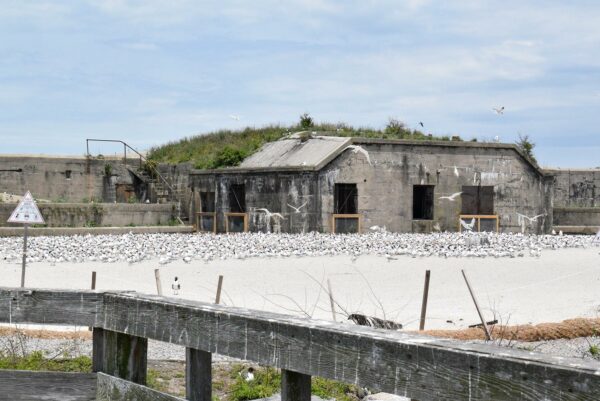 صورة لهيكل خرساني مأخوذة من جسر خرساني