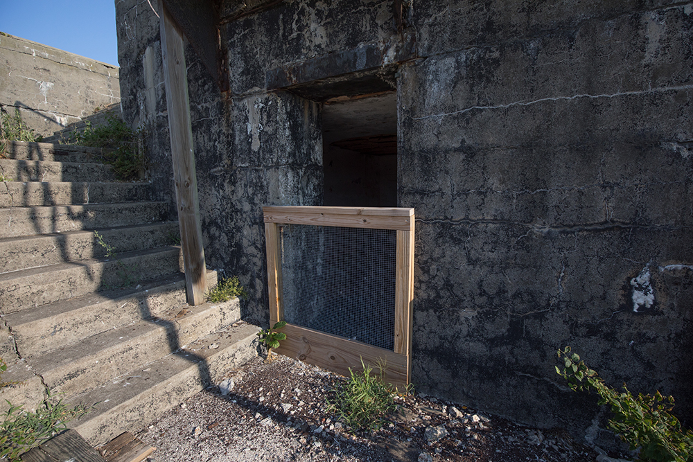 مثال على الحواجز المستخدمة لمنع الطيور من الدخول إلى داخل الحصن