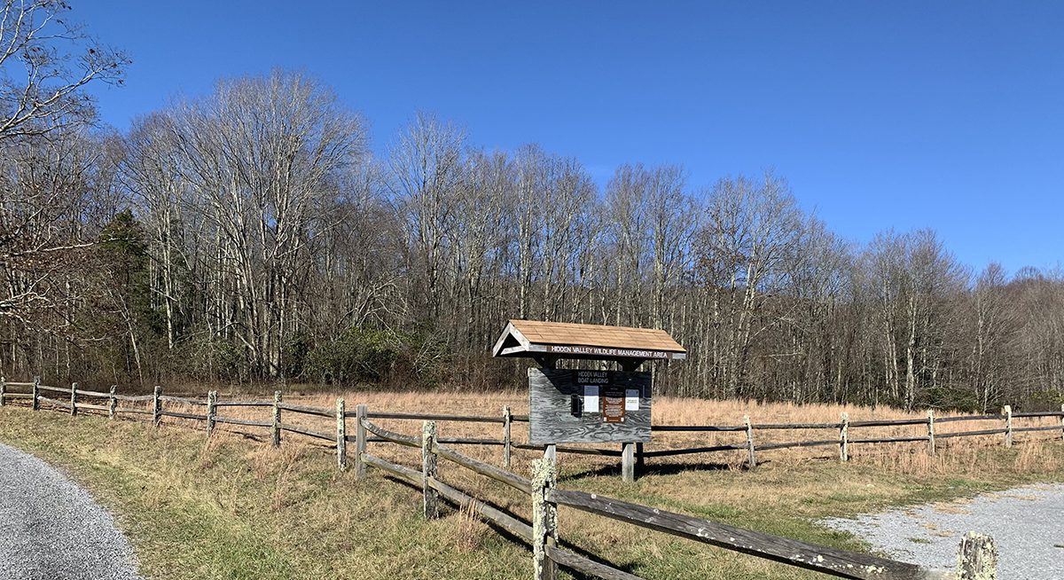 قطعة الأرض المستقبلية للملقحات في منطقة الوادي المخفي WMA بعد استخدام مبيدات الأعشاب، مع قتل أنواع النباتات غير المرغوب فيها.