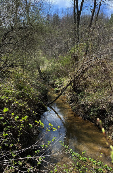 Habitat-Photo-Blackside-Dace