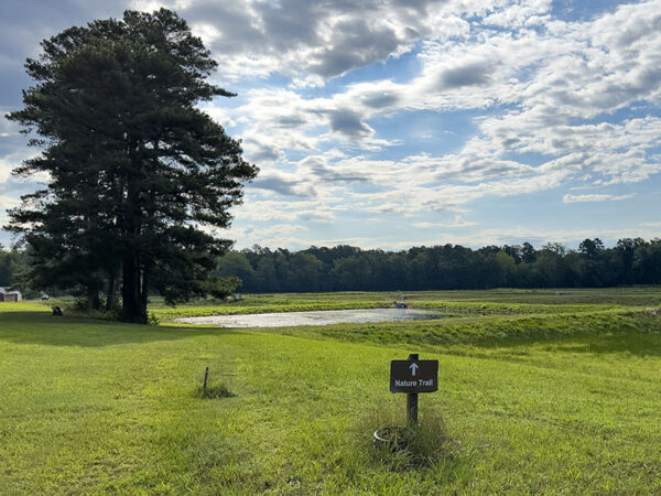 ابحث عن طيور الزقزاق وطيور الغطاس الرملي حول أحواض التربية في الطريق إلى الغابة. مصدر الصورة: ليزا ميس