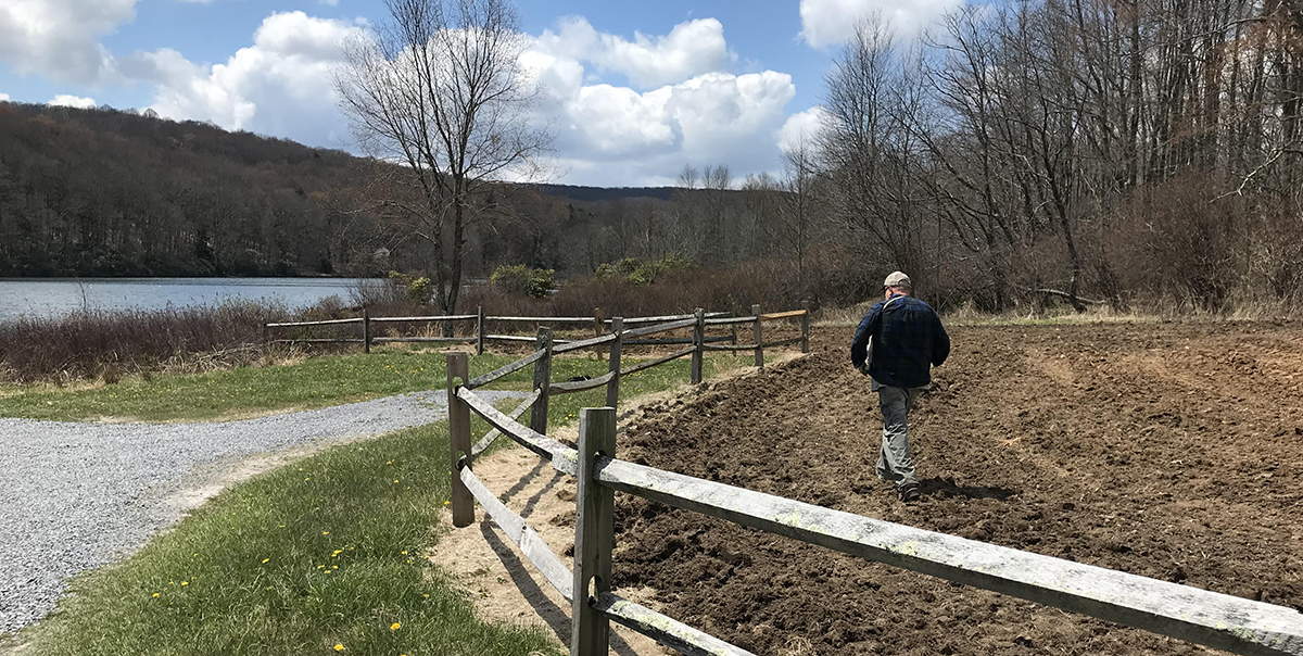 أحد موظفي وزارة الموارد المائية والري يوزع السماد والبذور على التربة المقطوعة.