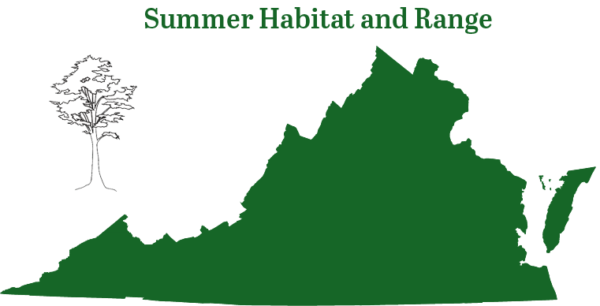 ويوجد الخفاش الأقرع في جميع أنحاء ولاية فرجينيا