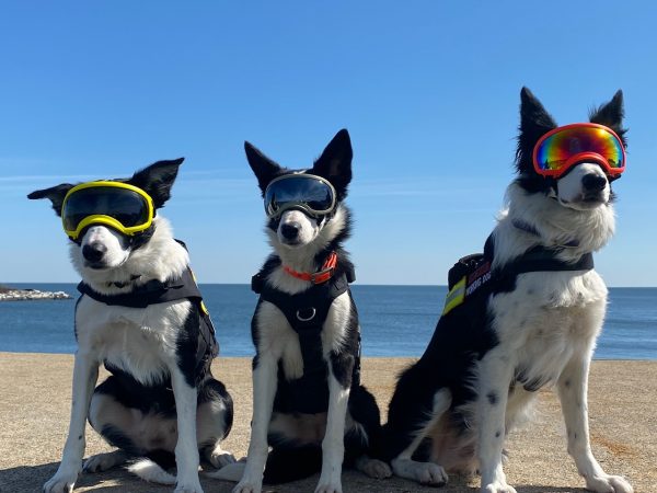 فلايواي بيت، وزوي وهوب جميعهم يرتدون ملابس السلامة.