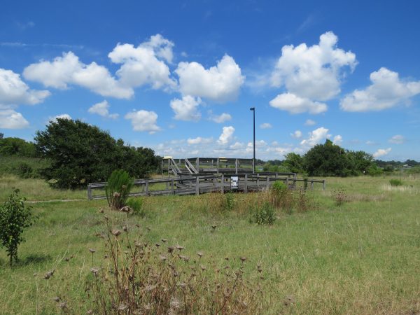 صورة لمنصة خشبية لمراقبة الحياة البرية في مرج تم بناؤها لتطل على خور ميل كريك