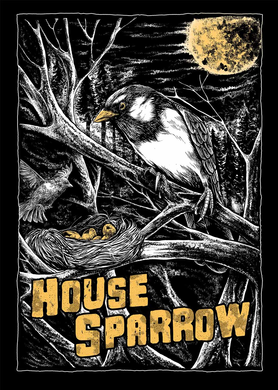 عصفور المنزل