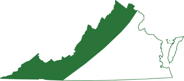 يوجد سمندل جيفرسون في جميع أنحاء سلسلة جبال الأبلاش