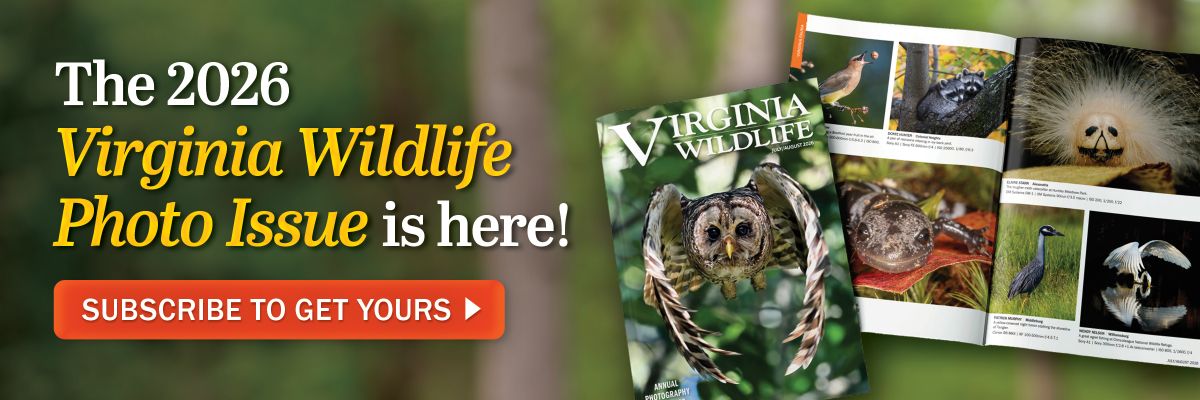 The 2026 Virginia Wildlife Photo Issue is here! Subscribe to get yours today. 