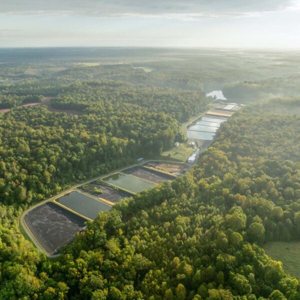 صورة جوية لمفرخ الملك والملكة