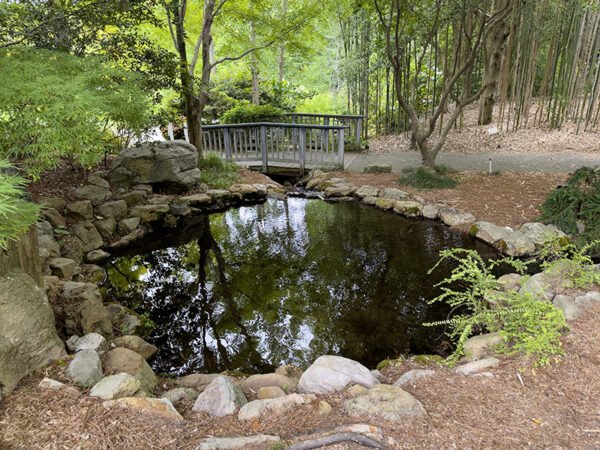 الوادي الآسيوي هو مكان هادئ للتأمل. يمكن سماع أصوات طيور التوه الشرقية خلف غابة الخيزران. مصدر الصورة: ليزا ميس