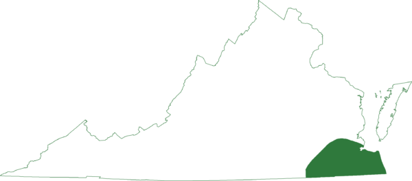 يوجد ضفدع العشب الصغير في المناطق الجنوبية الشرقية من ولاية فرجينيا