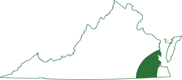 يوجد سمندل مابي في المناطق الجنوبية من ولاية فرجينيا على طول السهل الساحلي