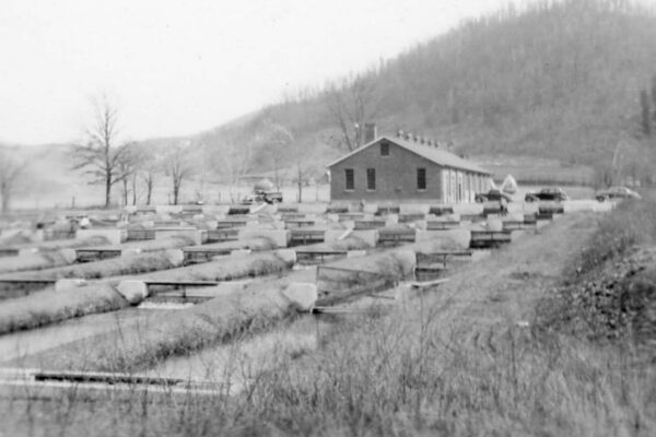 صورة بالأبيض والأسود: الممرات المائية التاريخية في Marion Fish Hatchery