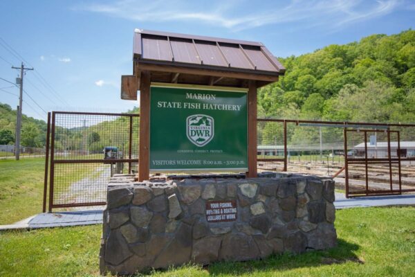 علامة الترحيب بمفرخ أسماك ماريون