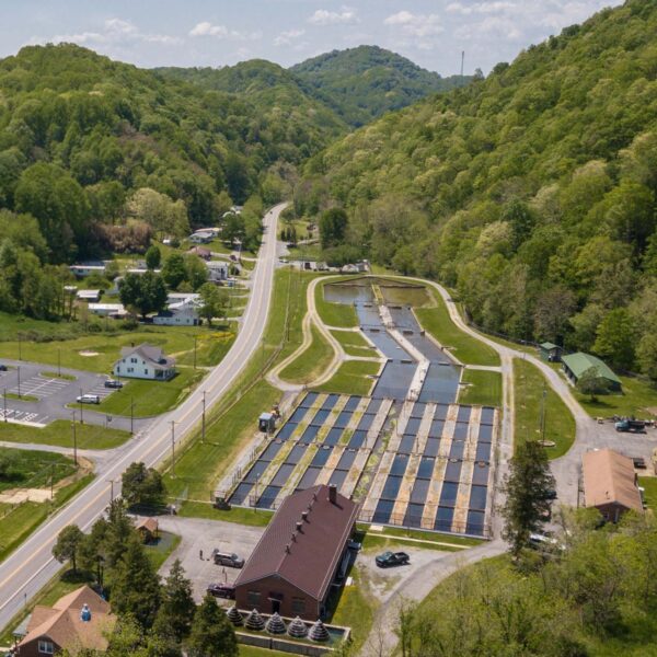 منظر جوي لمفرخ ماريون