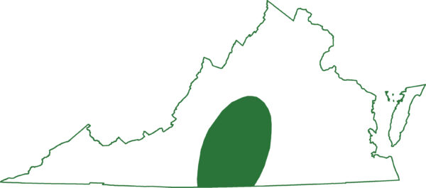 يوجد السمندل الخلد في منطقة بيدمونت داخل المناطق الوسطى من فرجينيا