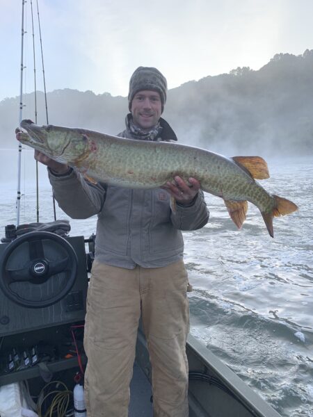 صورة لموسكيلونج