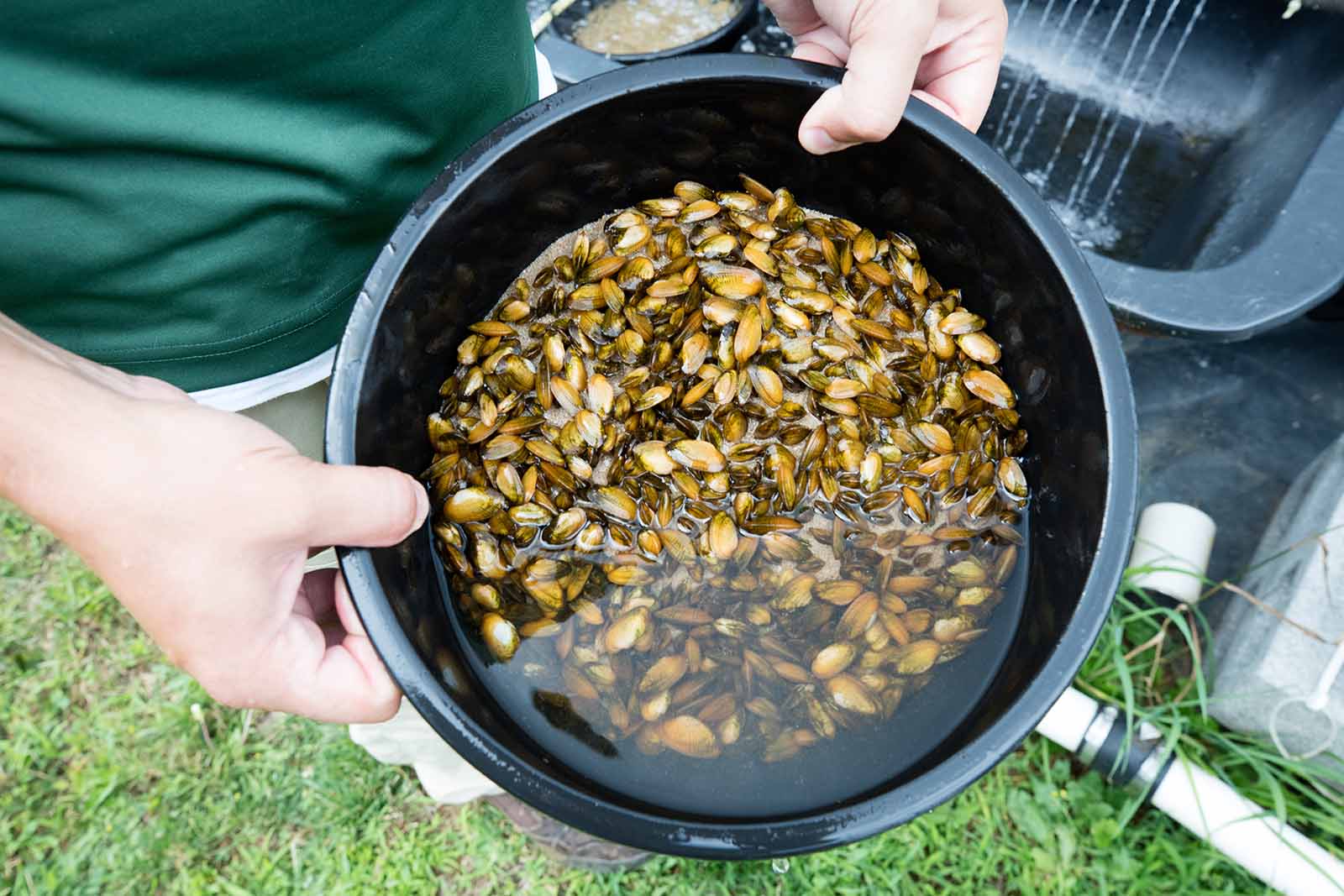 انقر لتوسيع الصورة