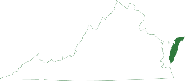 لا يوجد ضفدع جوقة نيوجيرسي إلا في تشينكوتيجو في فيرجينيا
