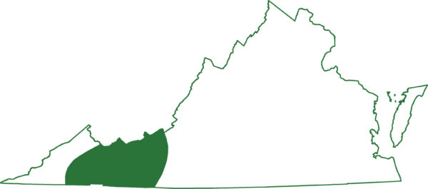 يوجد السمندل ذو الخد الرمادي الشمالي في مناطق محددة من جبال الأبالاش