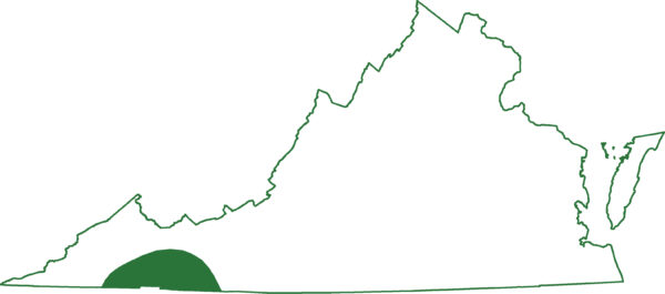 يوجد السمندل القزم الشمالي في منطقة واحدة من فرجينيا
