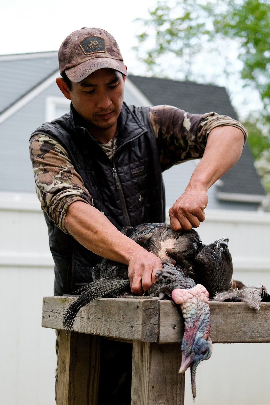 صورة لديك رومي بري تم حصاده على طاولة في الخارج، مع رجل ينتف ريشه.