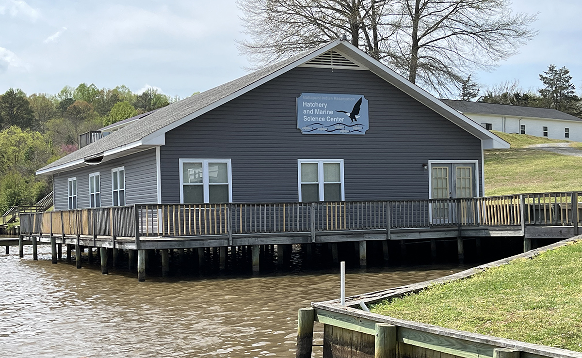 صورة لمفرخ ماتابوني ومركز ماتابوني للعلوم البحرية؛ التقطت من قارب