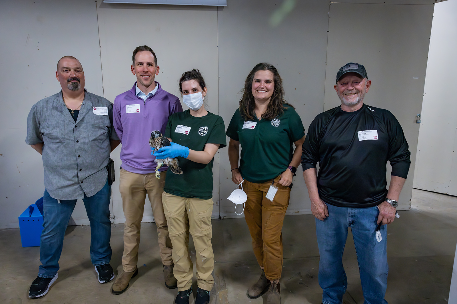 صورة لخمسة أشخاص، أحدهم في الوسط يحمل فرخ صقر الشاهين.