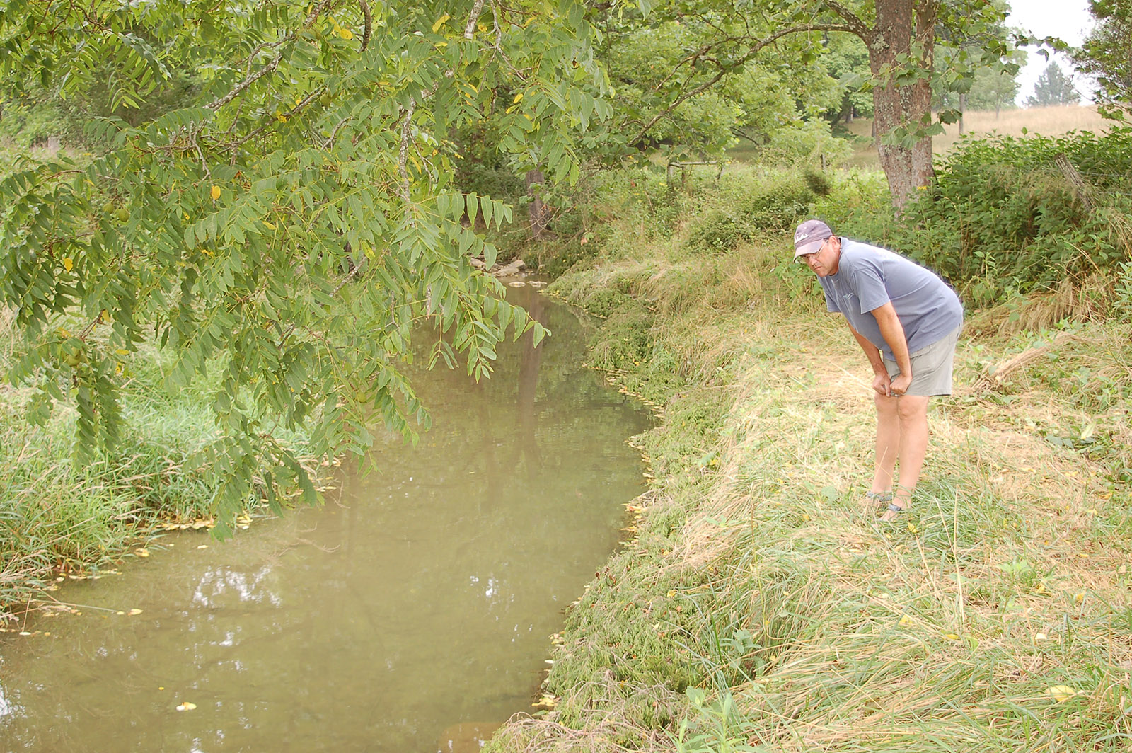 صورة لخريطة تنظر إلى مجرى مائي عشبي صغير