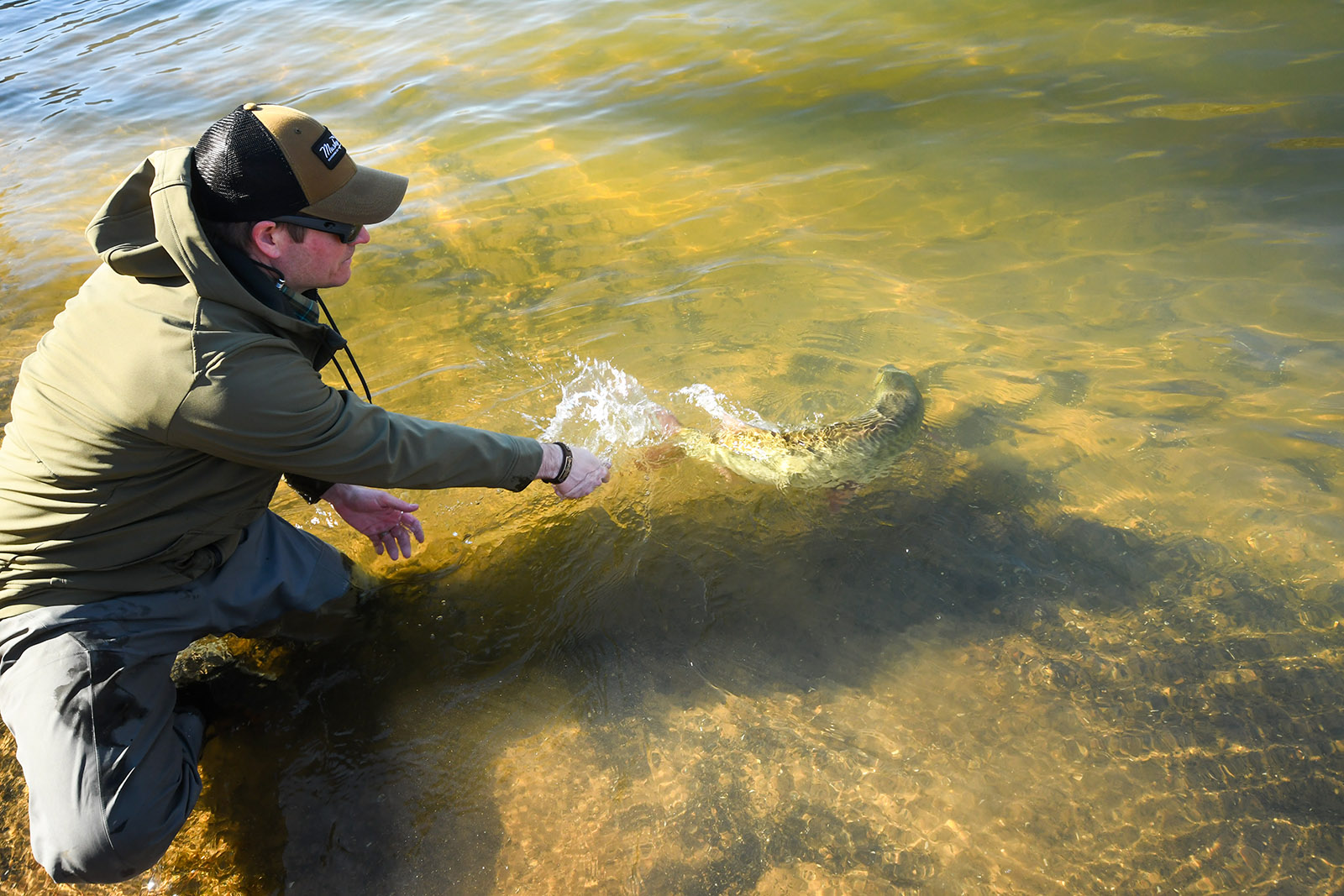 صورة لرجل راكع على ركبتيه في الماء ويداه ممدودتان مع مسك يسبح بعيدًا.