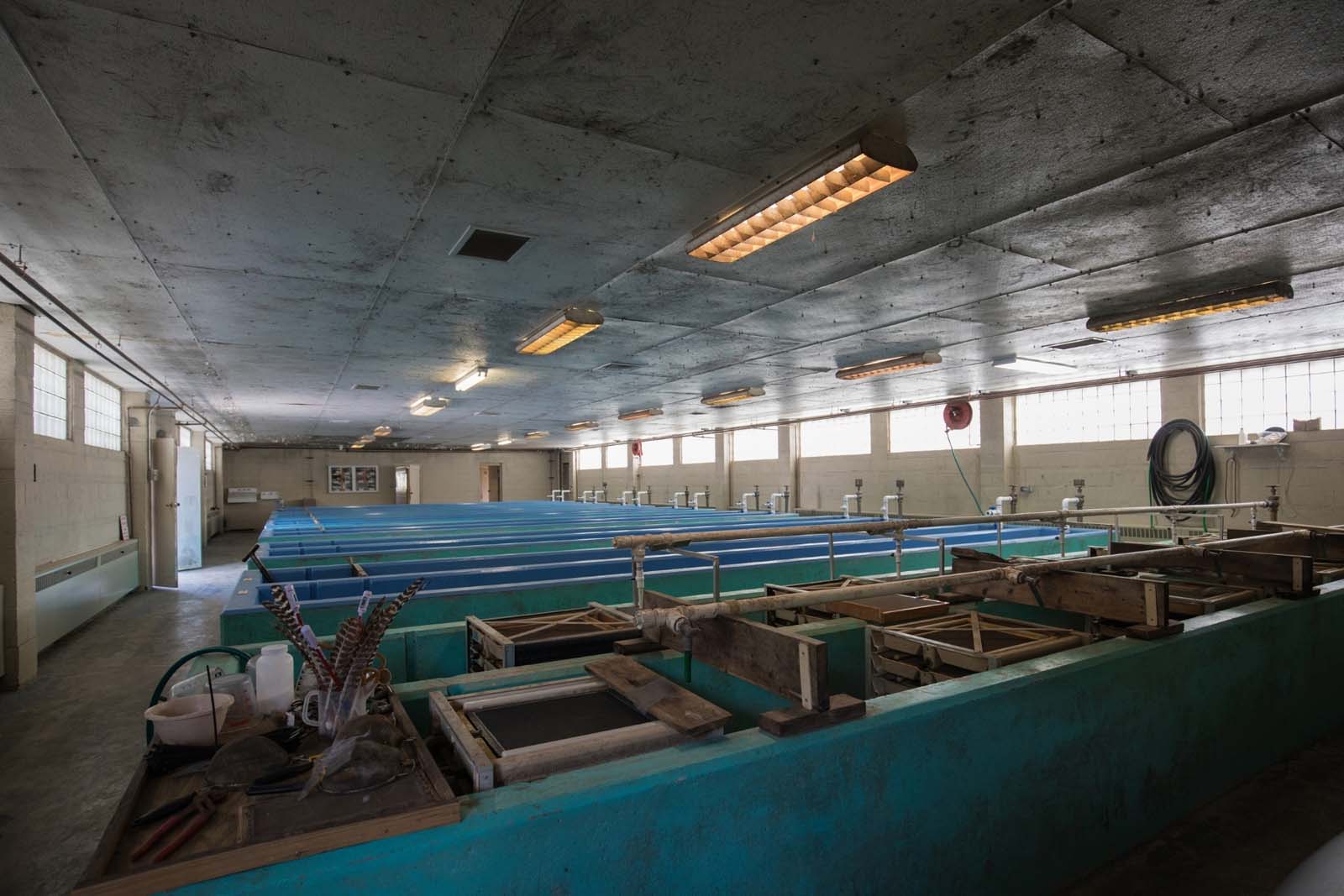 حمامات داخلية للأسماك