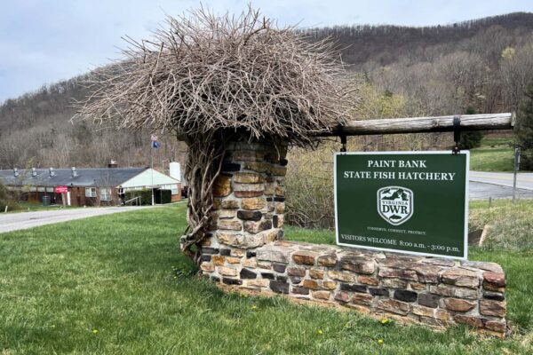 علامة الترحيب بمفرخ الأسماك من شركة Paint Bank