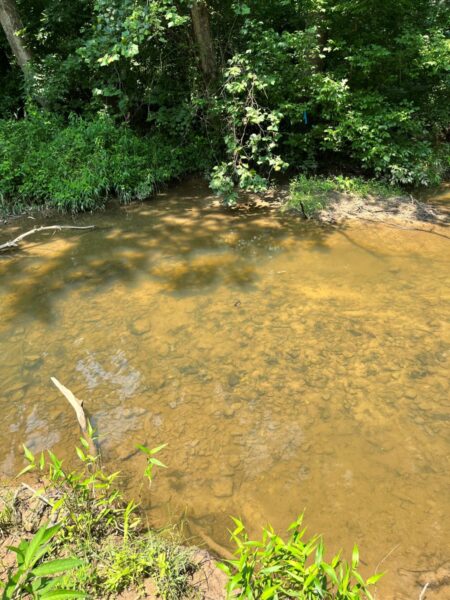 الموطن النموذجي الذي يمكن أن يوجد فيه James Spinymussel.