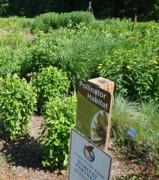 حديقة عرض موائل الملقحات في حديقة بليزانت جروف,