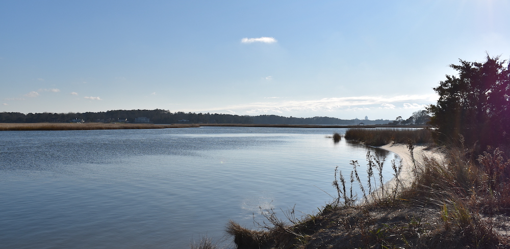 صورة لبحيرة مع القليل من الرمال على الشاطئ وبعض الأشجار على الأرض