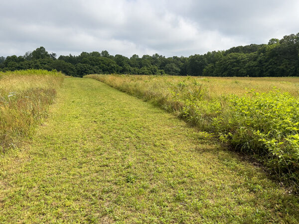 جزء من مضمار 5K لاختراق الضاحية.