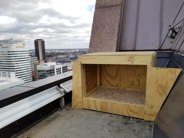 صندوق عش جديد في مكانه على الحافة.