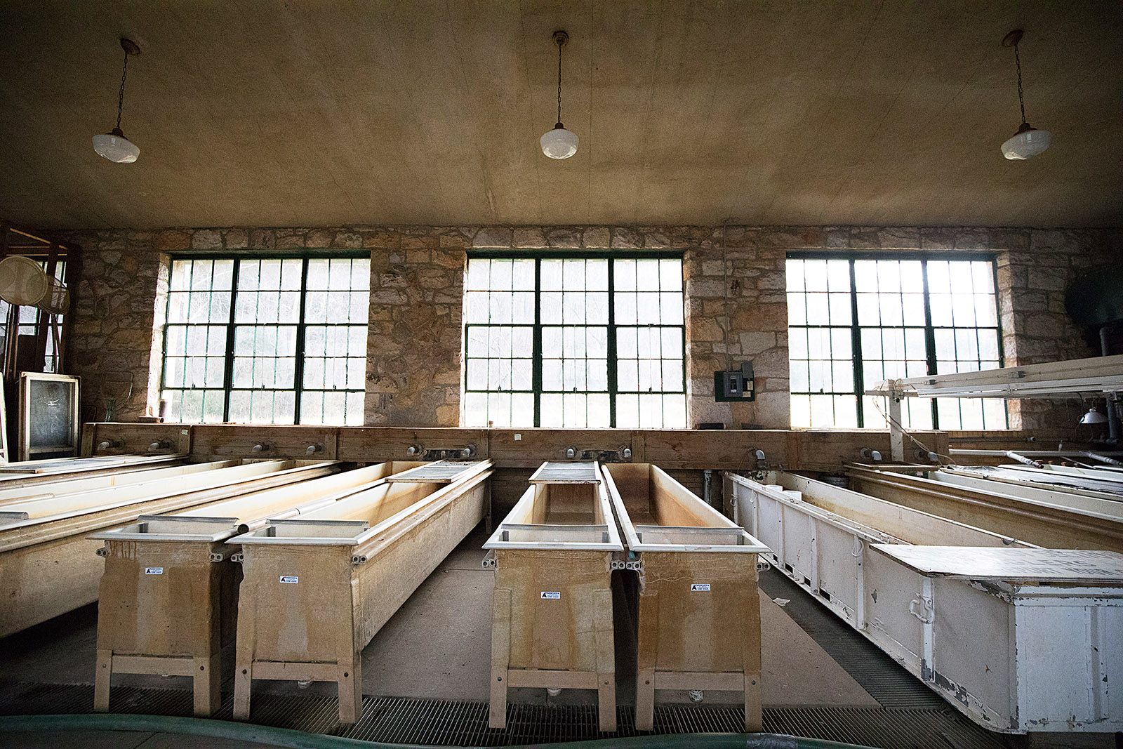 صورة لصفوف من أحواض الأسماك من برنامج تربية الأسماك الأصلي 1930s