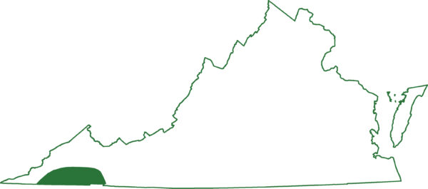 صورة لخريطة نطاق السمندل المتعرج الجنوبي، وهو موجود فقط في بضع مقاطعات في فيرجينيا.