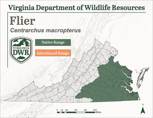 يوجد المنشور في جميع أنحاء شرق فيرجينيا