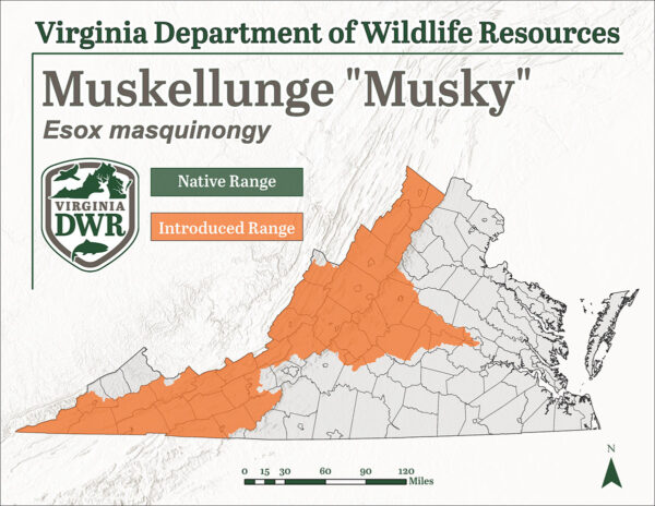 Species-Distribution-Muskellunge