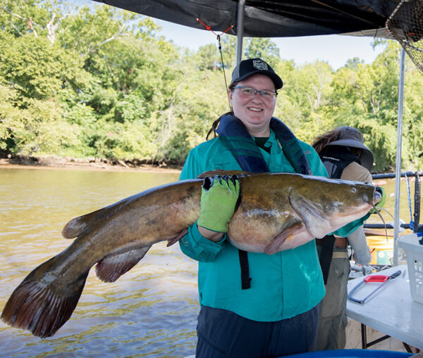 صورة لامرأة تحمل سمكة سلور كبيرة مسطحة الرأس