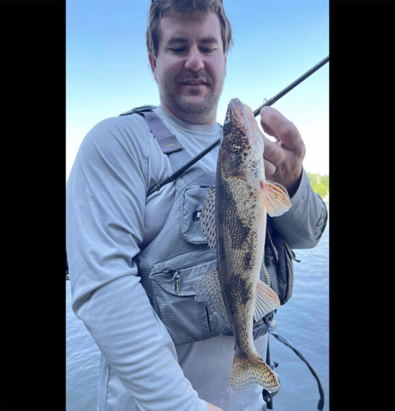 صورة لساوجر