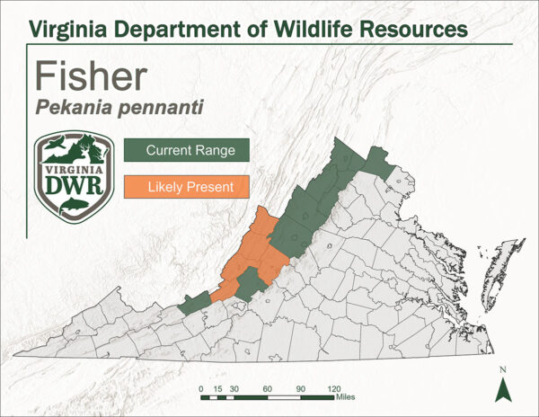 خريطة توضح توزيع الصيادين في Virginia
