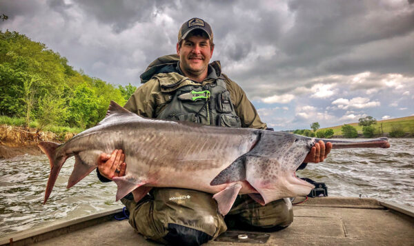 صورة لسمكة الشفنين