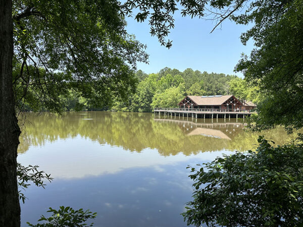 الأشجار والشجيرات التي تحيط بالبحيرات هي الأماكن التي يمكن البحث فيها عن مغردي البروثونوتاري.