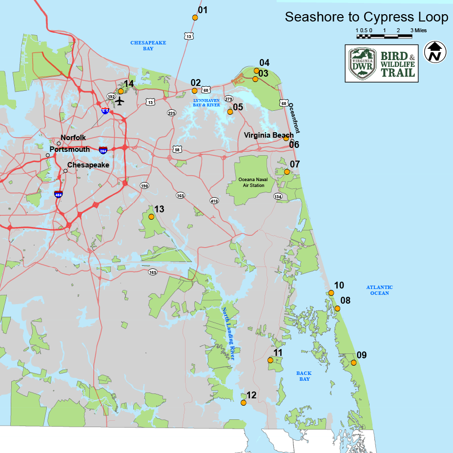 انقر لفتح الخريطة في علامة تبويب جديدة للحلقة من شاطئ البحر إلى حلقة السرو
