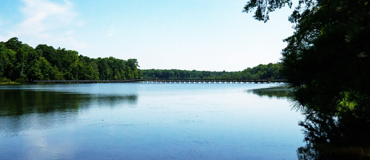 المنظر في حديقة نيوبورت نيوز بارك.