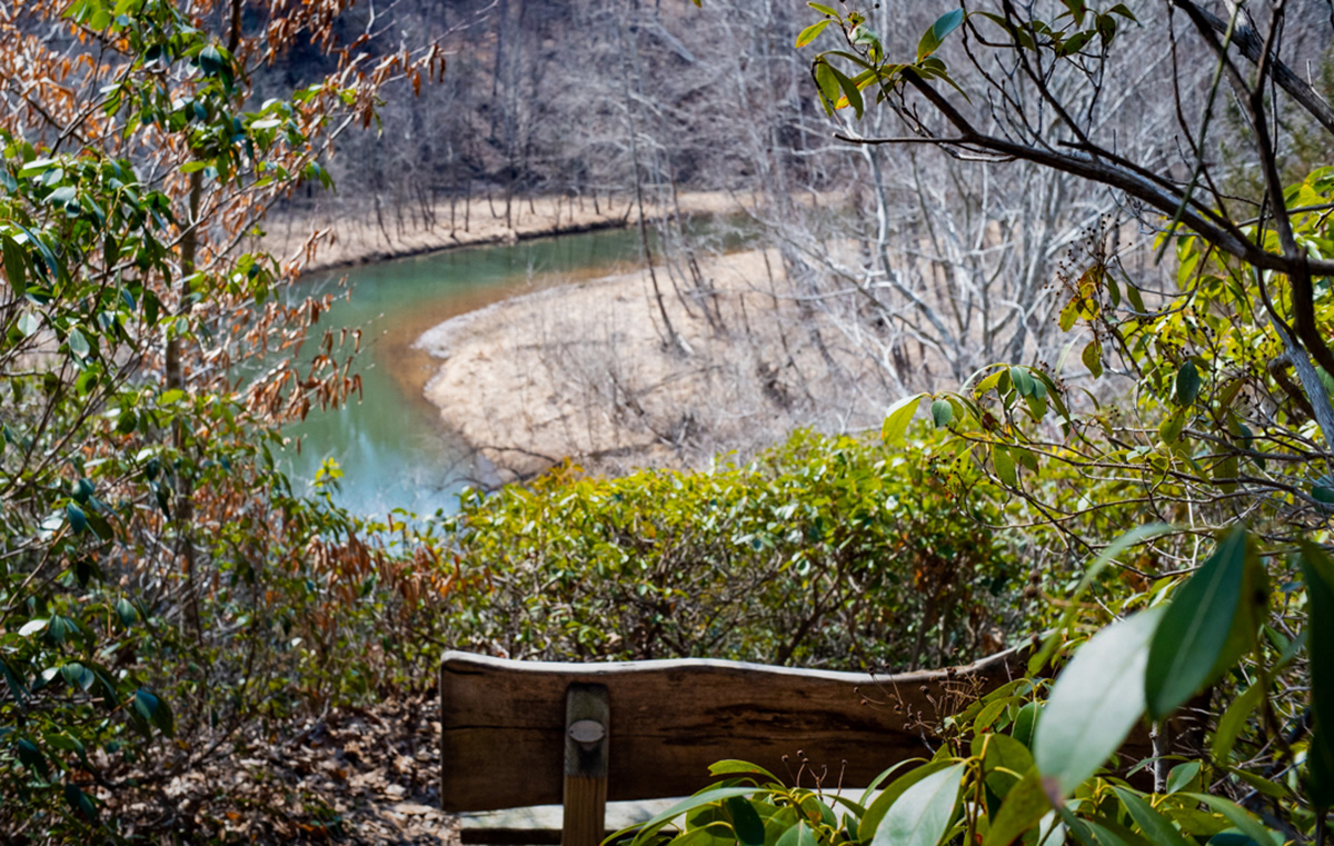 صورة لمنطقة خور اللبلاب الطبيعية مع وجود مقعد ومجرى مائي مرئي